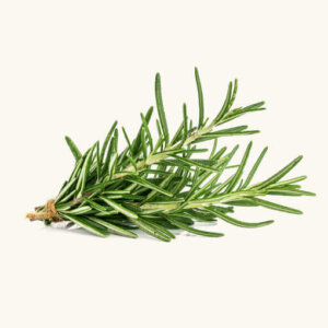 Rosemary